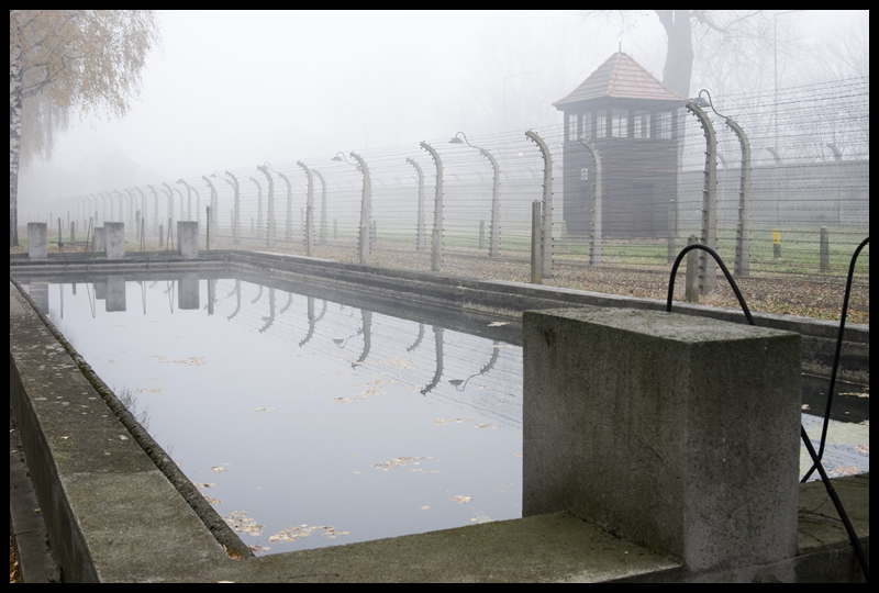 Auschwitzin uima-allas.