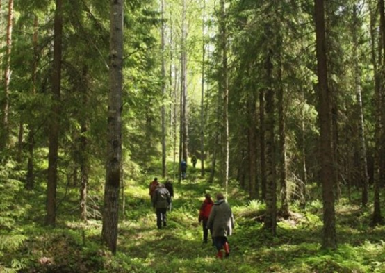 Jari Leppä vakuuttaa, että Suomenalueiden virkistyskäyttö säilyy ennallaan myös uuden metsähallituslain jälkeen. Leppä ei ole uskottava, sillä mikä yhtiöitetään, se on myös myytävissä.