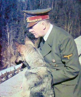 Hitlerin-koira