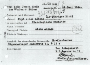 Rajskon Waffen-SS:n hygieniainstituutille osoitettu rahtikirja.